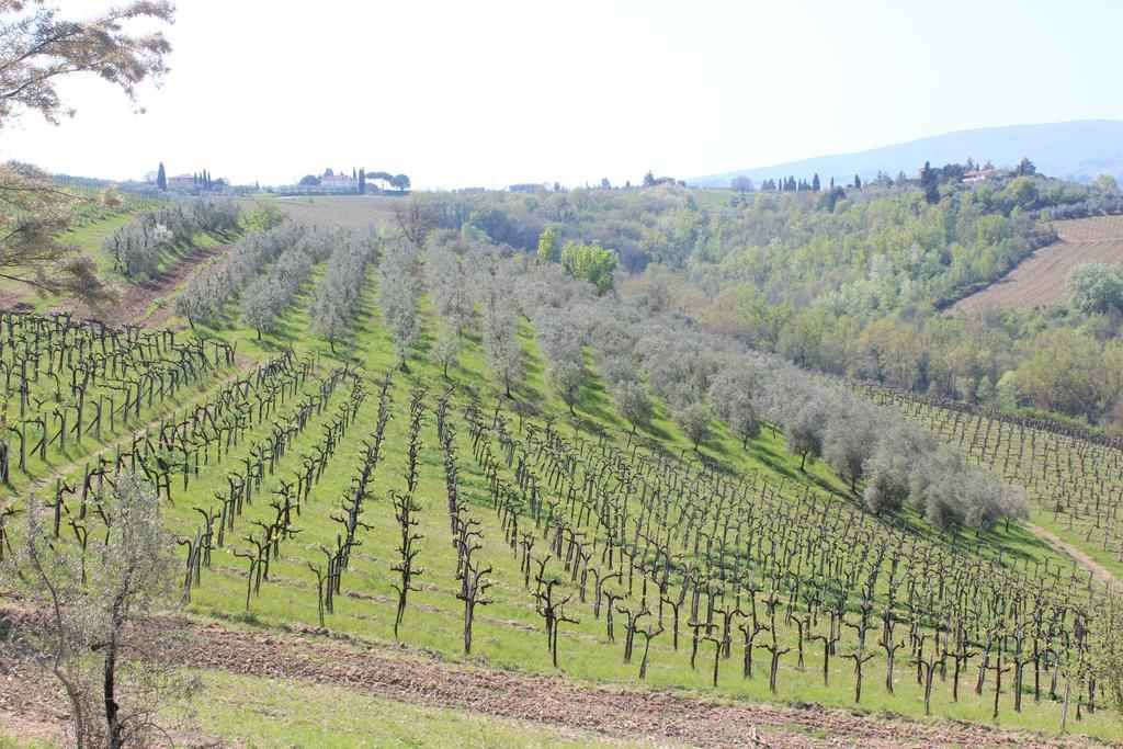 Bio Agriturismo Podere Pretoia San Gimignano Exterior photo